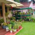 Oru Pachatthavalayum Kure Vyadhakalum-Nature observation-C.A. Krishnan-1