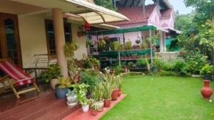 Oru Pachatthavalayum Kure Vyadhakalum-Nature observation-C.A. Krishnan-1